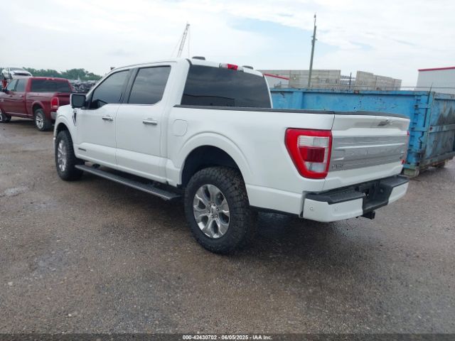 1FTFW1ED3MFB75260 Ford F-150 Platinum