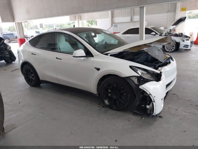 2021 TESLA MODEL Y 5YJYGDEE5MF119695