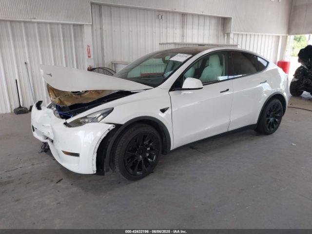 2021 TESLA MODEL Y 5YJYGDEE5MF119695 Photo 1
