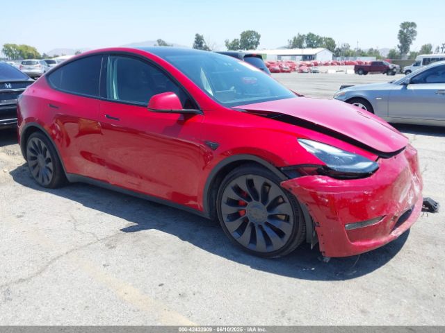2023 TESLA MODEL Y 7SAYGDEF6PF884673