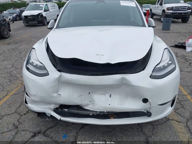 7SAYGDEE9PA038011 Tesla 2023