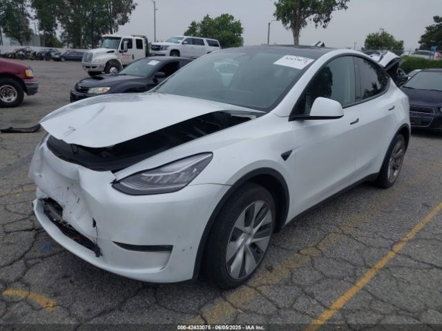 2023 TESLA MODEL Y 7SAYGDEE9PA038011 Photo 1