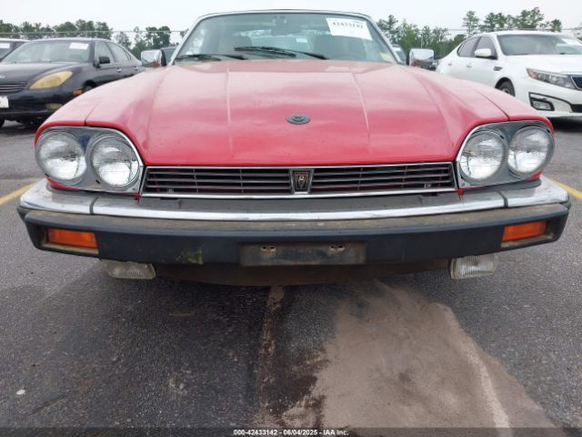 1989 JAGUAR XJS SAJNV4841KC162423 Photo 5