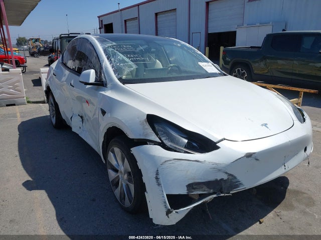 2023 TESLA MODEL Y 7SAYGDEE5PF624272 Photo 0