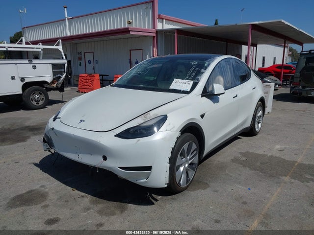 2023 TESLA MODEL Y 7SAYGDEE5PF624272 Photo 1