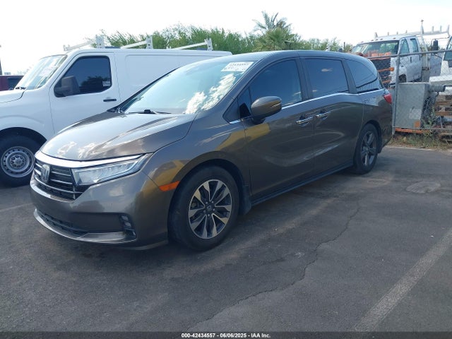 Honda ODYSSEY EX 2022 5FNRL6H59NB031046 Image 2