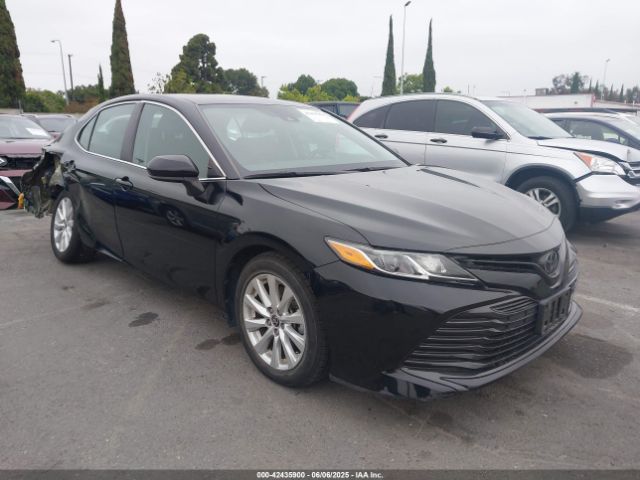 2020 TOYOTA CAMRY 4T1C11AK7LU504344