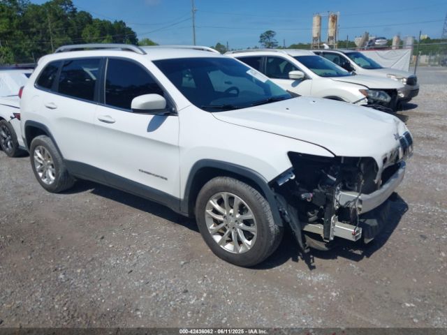 2019 JEEP CHEROKEE 1C4PJLCB8KD164599
