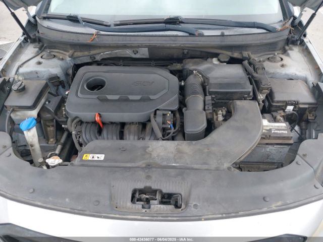 5NPE34AF1GH381586 Hyundai Sonata Sport