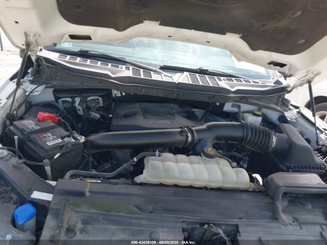 1FTFW1E88MKD18245 Ford F-150 Xlt