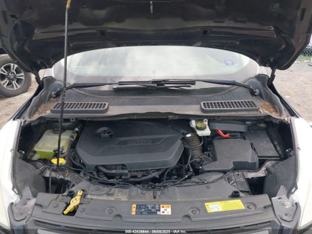 1FMCU0GX6EUC61410 Ford ESCAPE SE