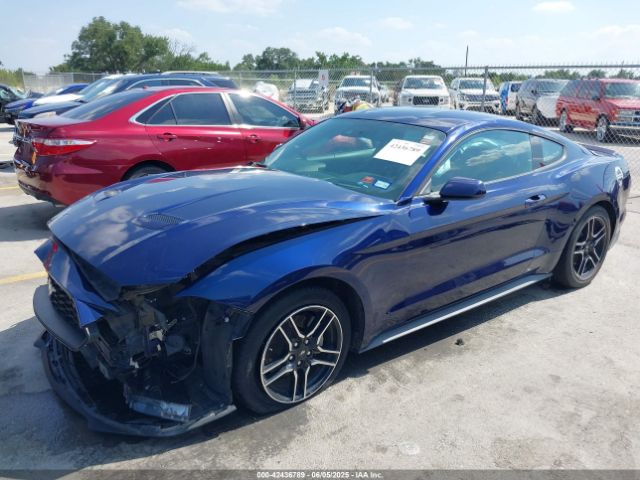 2019 FORD MUSTANG 1FA6P8TH8K5176621 Photo 1