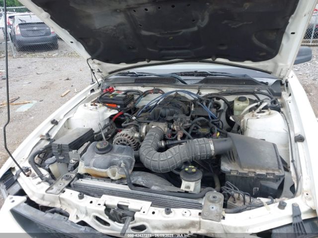 2006 FORD MUSTANG 1ZVFT84N365218352 Photo 9