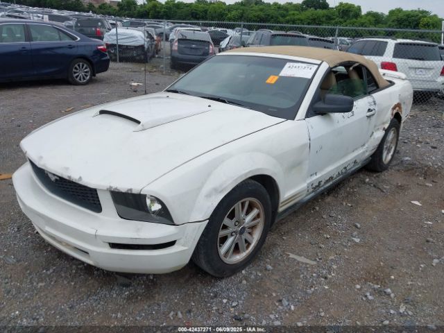 2006 FORD MUSTANG 1ZVFT84N365218352 Photo 1