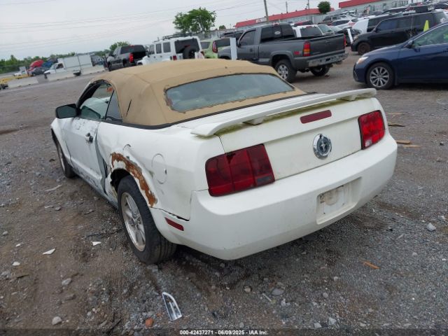 2006 FORD MUSTANG 1ZVFT84N365218352 Photo 2