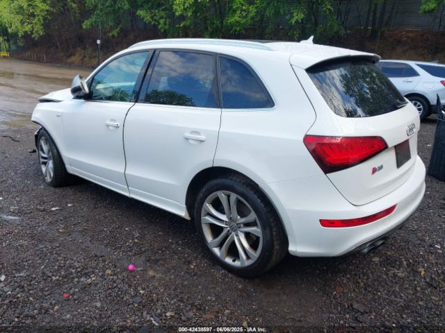 2014 AUDI SQ5 WA1VGAFP2EA035727 Photo 2
