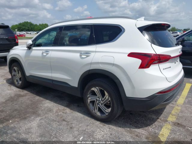 5NMS2DAJXPH644598 Hyundai Santa Fe Sel