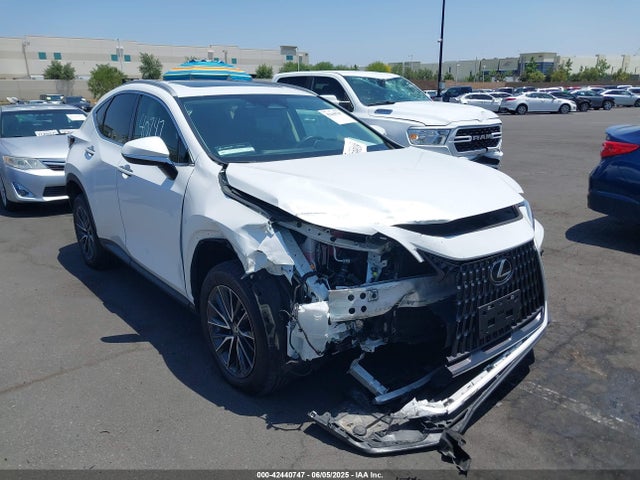 Lexus t24a-fts 2022 2T2AGCEZ4NC008622 Image 13