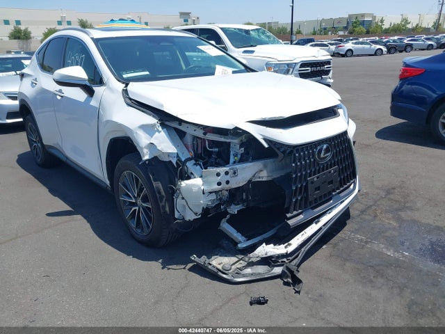 Lexus t24a-fts 2022 2T2AGCEZ4NC008622 Image 6
