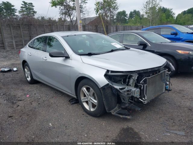 2019 CHEVROLET MALIBU 1G1ZB5ST6KF123168