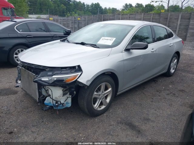 2019 CHEVROLET MALIBU 1G1ZB5ST6KF123168 Photo 1