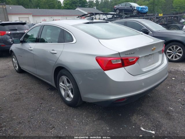 2019 CHEVROLET MALIBU 1G1ZB5ST6KF123168 Photo 2