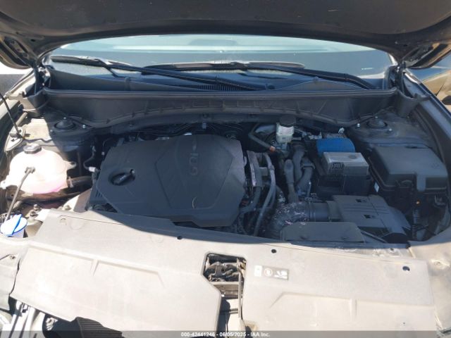 2024 HYUNDAI TUCSON 5NMJECDE1RH367371 Photo 9