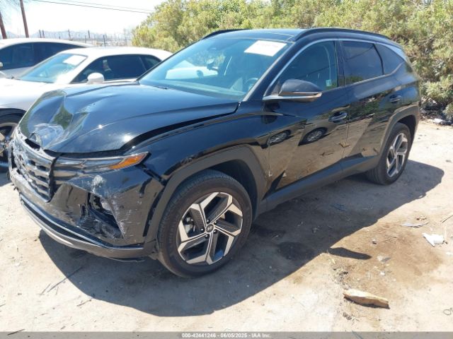 2024 HYUNDAI TUCSON 5NMJECDE1RH367371 Photo 1