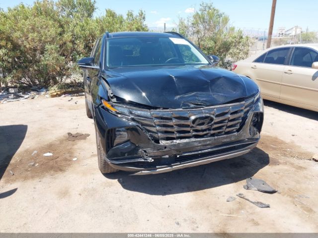 2024 HYUNDAI TUCSON 5NMJECDE1RH367371 Photo 5