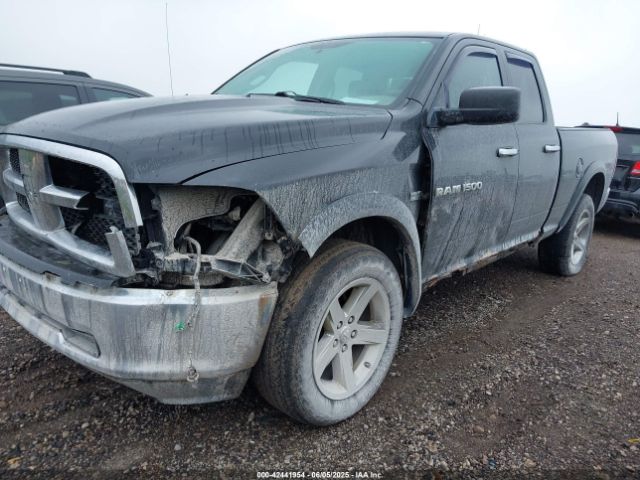 2011 RAM RAM 1500 1D7RV1GTXBS616221 Photo 5