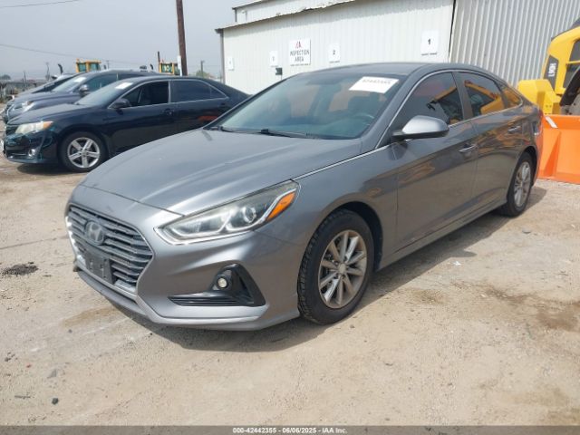 5NPE24AF9JH622482 Hyundai SONATA SE