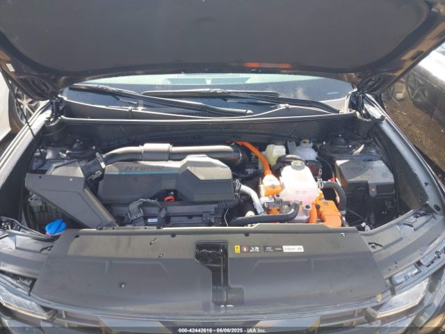 2025 HYUNDAI TUCSON HYBRID KM8JCDD17SU292727 Photo 9