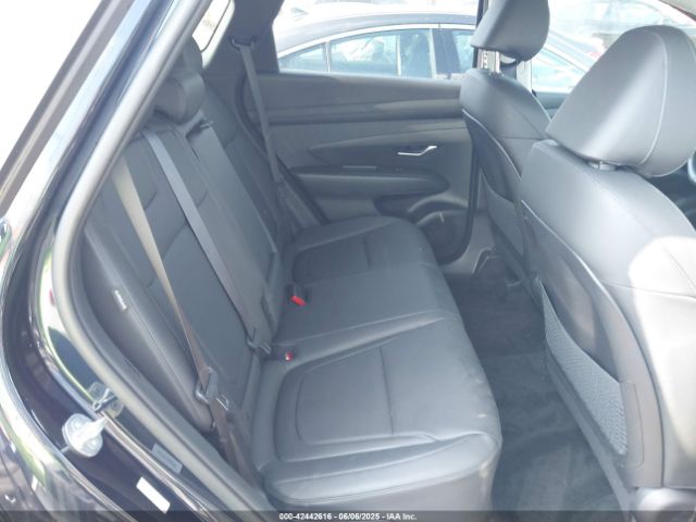 2025 HYUNDAI TUCSON HYBRID KM8JCDD17SU292727 Photo 7