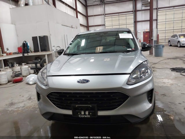 1FMCU9G67MUA02760 Ford dragon di tc
