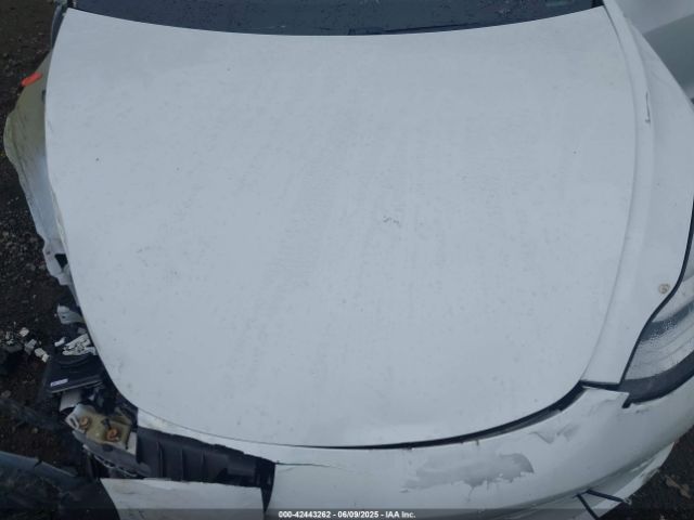 2020 TESLA MODEL 3 5YJ3E1EA7LF645286 Photo 9