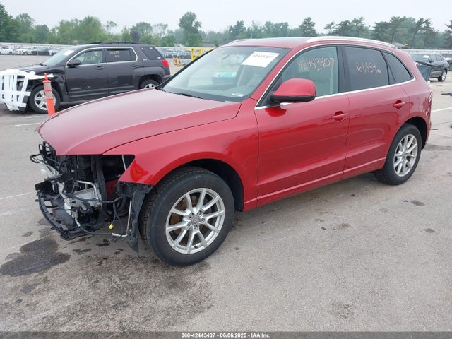 2010 AUDI Q5 WA1LKAFP2AA052494 Photo 1
