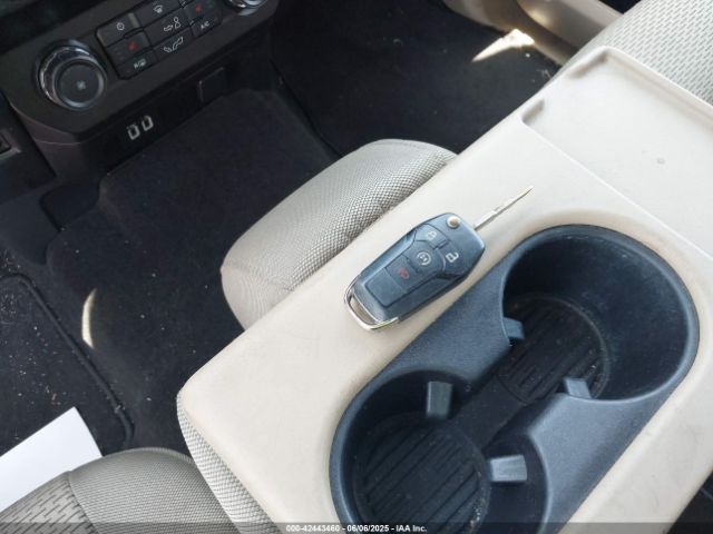 1FTEW1C42KKC14259 Ford F-150 Xlt