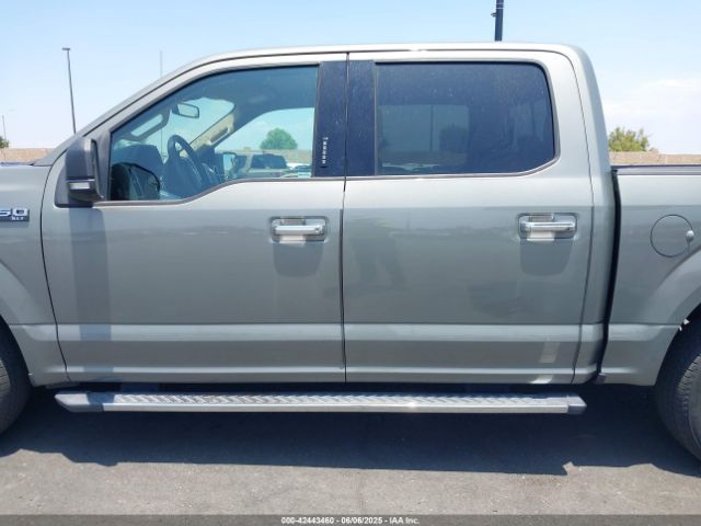 1FTEW1C42KKC14259 Ford F-150 Xlt