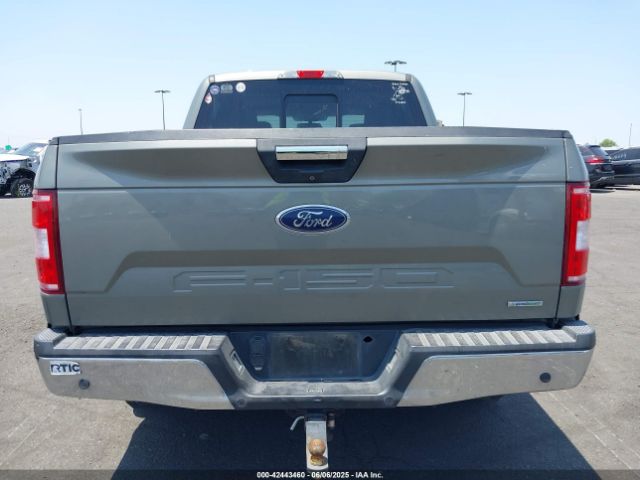 1FTEW1C42KKC14259 Ford F-150 Xlt