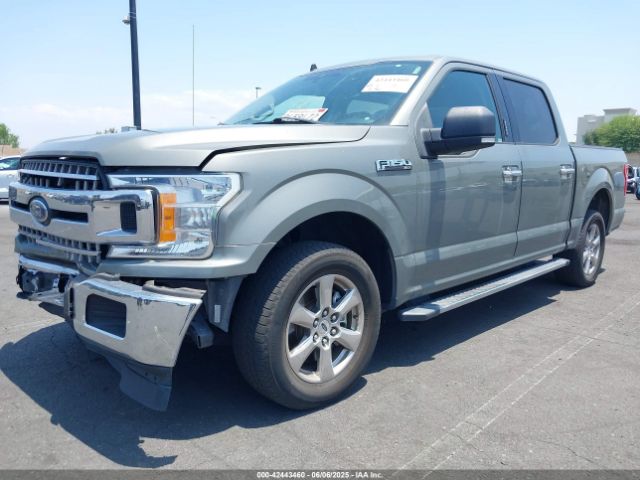 1FTEW1C42KKC14259 Ford F-150 Xlt