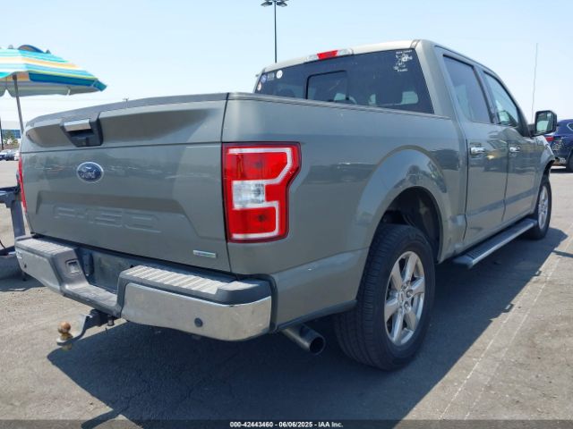 1FTEW1C42KKC14259 Ford F-150 Xlt