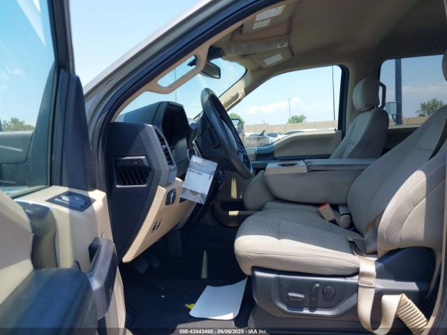 1FTEW1C42KKC14259 Ford F-150 Xlt