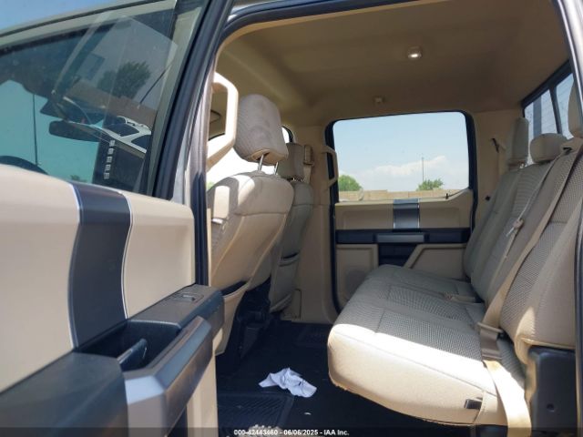 1FTEW1C42KKC14259 Ford F-150 Xlt