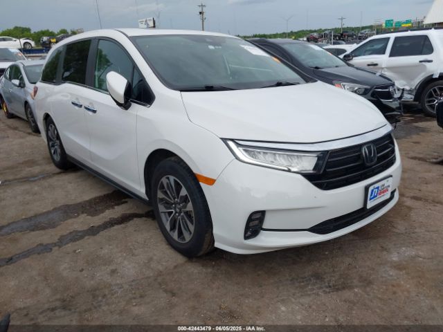 2023 HONDA ODYSSEY 5FNRL6H6XPB055979