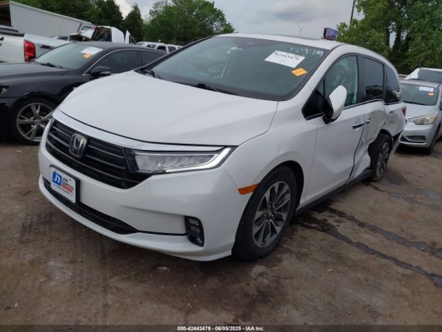 2023 HONDA ODYSSEY 5FNRL6H6XPB055979 Photo 1
