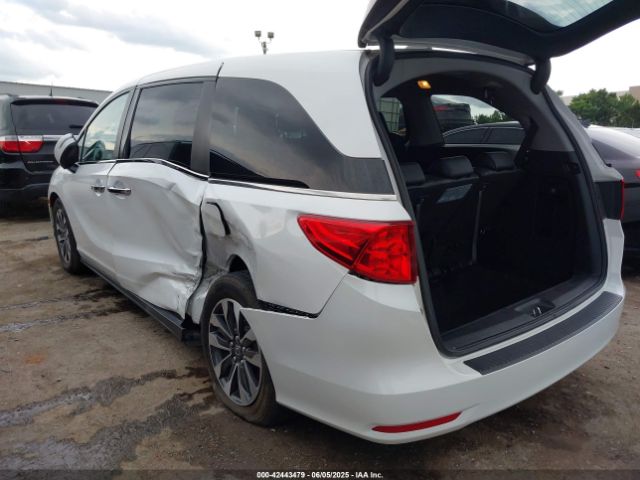 2023 HONDA ODYSSEY 5FNRL6H6XPB055979 Photo 2