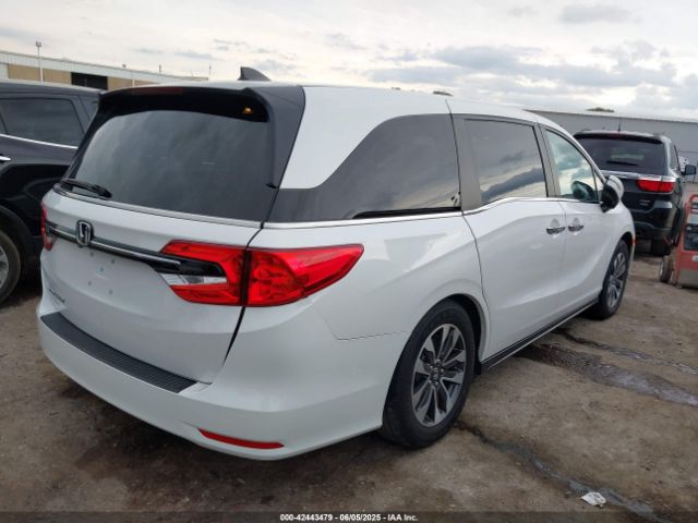 2023 HONDA ODYSSEY 5FNRL6H6XPB055979 Photo 3