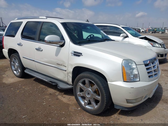 2010 CADILLAC ESCALADE 1GYUKBEF6AR250225 Photo 0