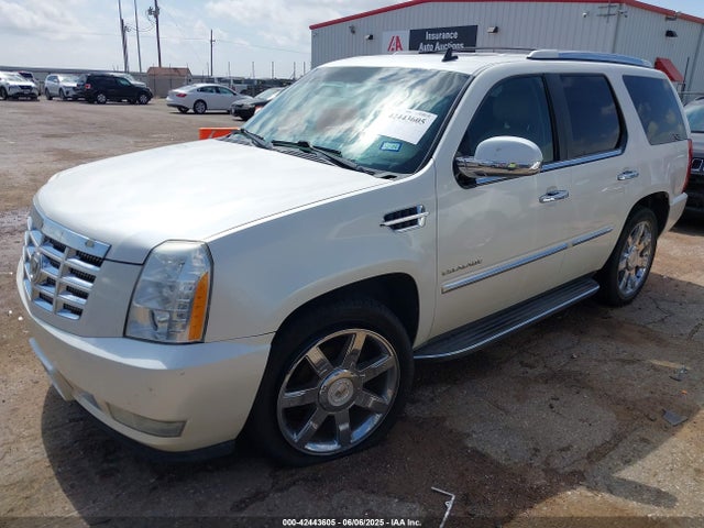2010 CADILLAC ESCALADE 1GYUKBEF6AR250225 Photo 1