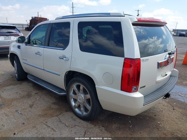 2010 CADILLAC ESCALADE 1GYUKBEF6AR250225 Photo 2